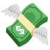 💸