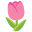 🌷