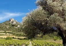 Occitanie Méditerranée