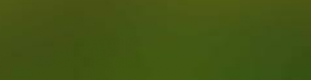 Club Rugby