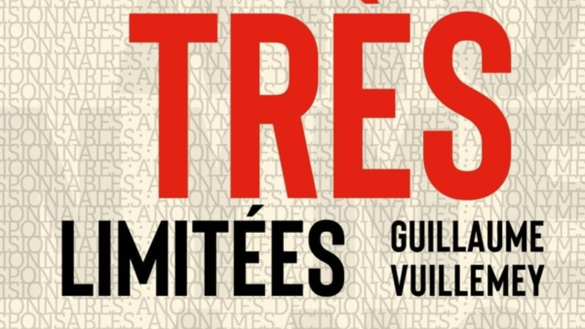 [Émile Magazine] Guillaume Vuillemey, Sociétés à responsabilités très limitées - La grande entreprise face aux biens communs (2026)