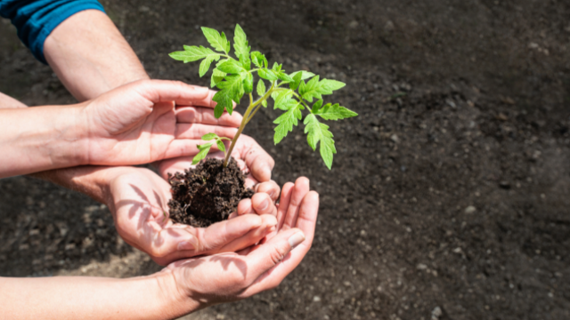 Les défis de l'agriculture de demain
