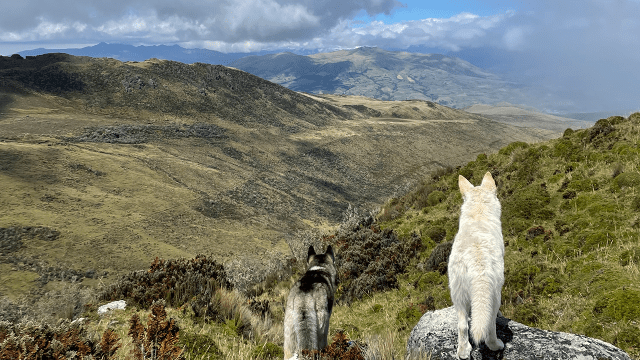 Les jeunes Sciences Po autour du monde : Margault Couaillac, promo 2023, en Équateur