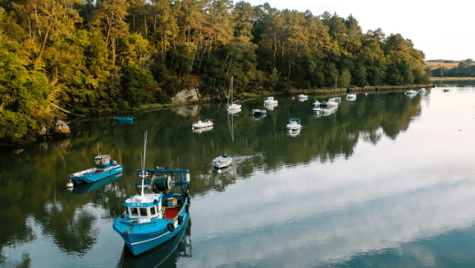 Week-end de la Pentecôte 2026 : Marche sur les bords de la rivière d’Auray (Morbihan)