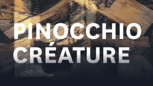Représentation de "Pinocchio Créature" à la Comédie Française