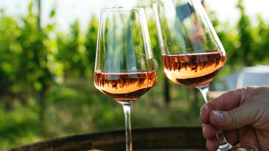 Dégustation commentée  "Coteaux Champenois & Rosé des Riceys, la Champagne tranquille"