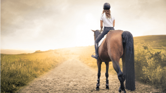 Balade à cheval dans le Parc de Chantilly