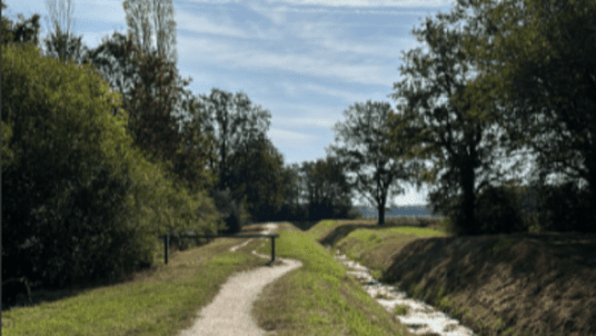 Randonnée d'octobre - Au fil de la rivière royale, du Perray-en-Yvelines à Rambouillet