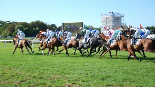 Journée équestre à Deauville