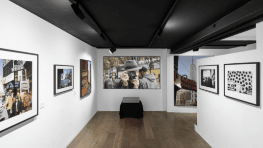 Visite de la galerie Polka et de l'exposition "IMMERSION" de Joel Meyerowitz — Une rétrospective photographique unique