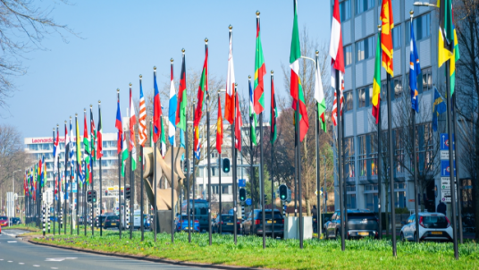 [Webinar] Ahead of the NATO Summit