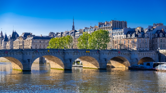 Visite promenade dans l'île de la Cité