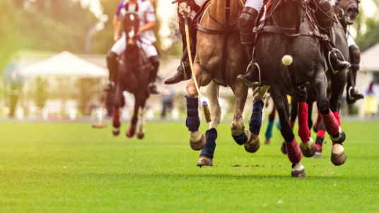 44ème tournoi de l'Association Polo