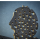 profile photo of a member