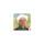 profile photo of a member